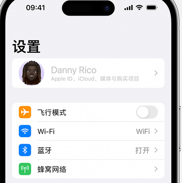 岱山appleID维修服务iPhone设置中Apple ID显示为灰色无法使用 