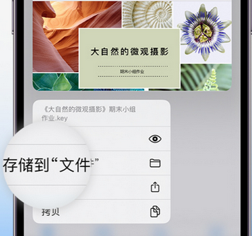 岱山apple维修中心分享iPhone文件应用中存储和找到下载文件