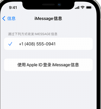 岱山apple维修iPhone上无法正常发送iMessage信息 