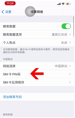 岱山苹果14维修网分享如何给iPhone14的SIM卡设置密码 