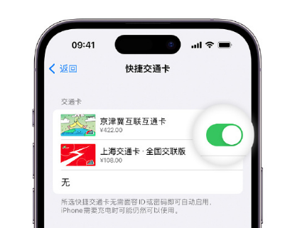 岱山apple维修点分享iPhone上更换Apple Pay快捷交通卡手绘卡面 