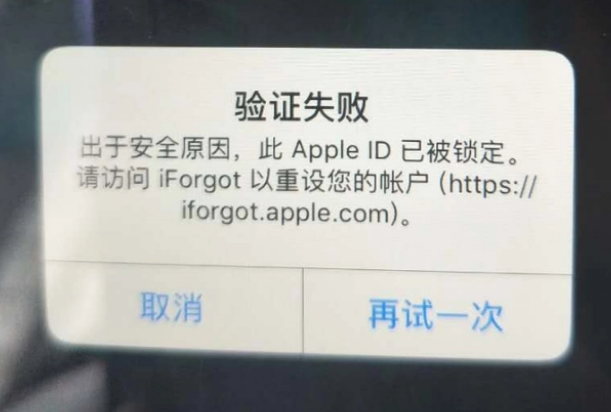 岱山iPhone维修分享iPhone上正常登录或使用AppleID怎么办 