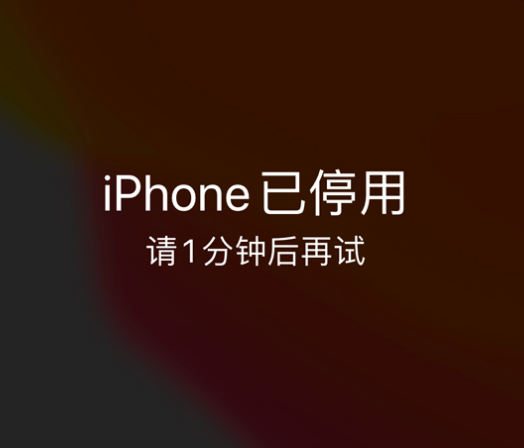 岱山苹果手机维修分享:iPhone 显示“不可用”或“已停用”怎么办？还能保留数据吗？ 