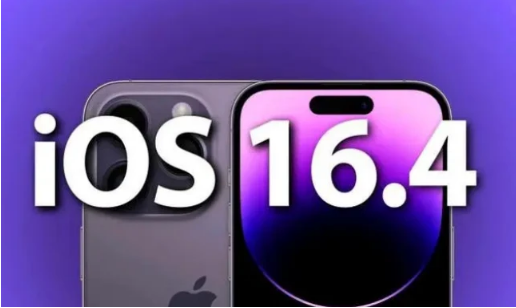 岱山苹果14维修分享：iPhone14可以升级iOS16.4beta2吗？ 