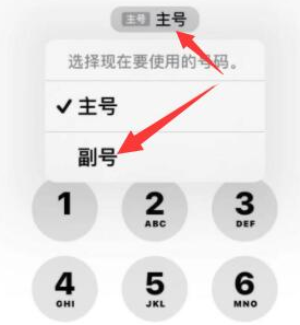 岱山苹果14维修店分享iPhone 14 Pro Max使用副卡打电话的方法 