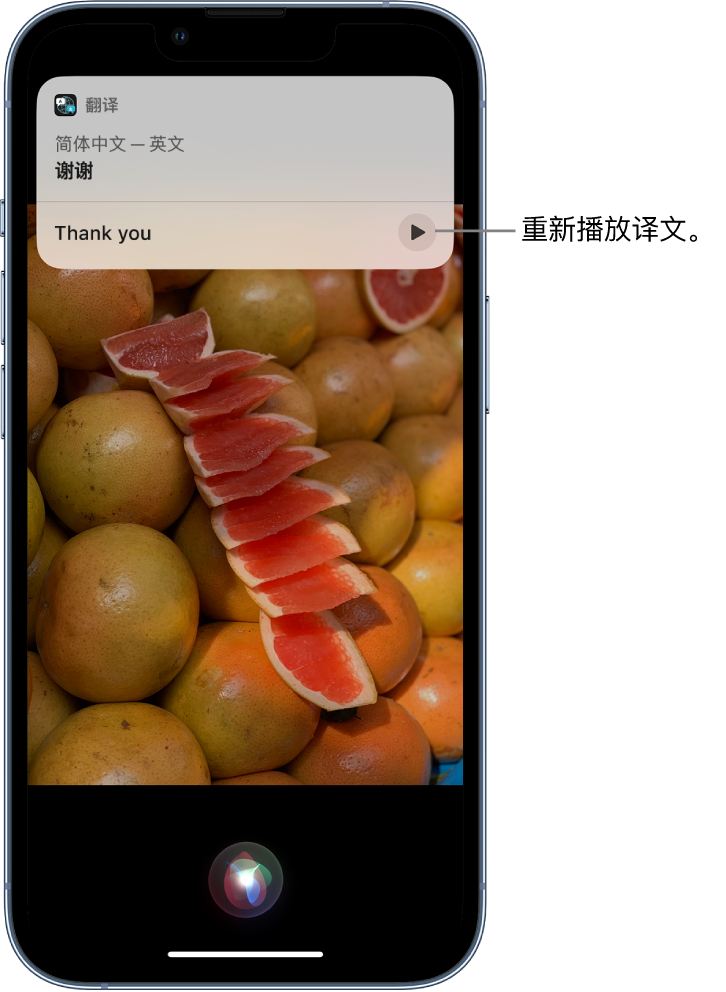 岱山苹果14维修分享 iPhone 14 机型中使用 Siri：了解 Siri 能帮你做什么 