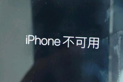 岱山苹果服务网点分享锁屏界面显示“iPhone 不可用”如何解决 