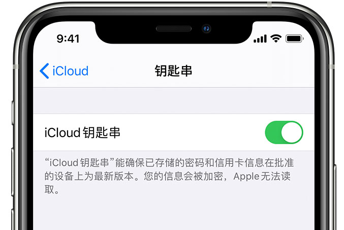 岱山苹果手机维修分享在 iPhone 上开启 iCloud 钥匙串之后会储存哪些信息 