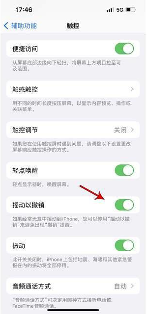 岱山苹果手机维修分享iPhone手机如何设置摇一摇删除文字 