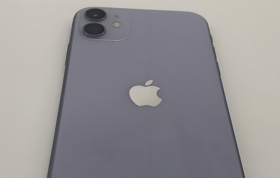 岱山苹果11系统维修分享iPhone11手机系统崩溃无法开机如何解决 