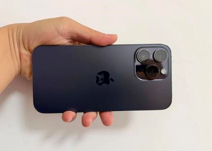 岱山苹果维修点分享iPhone 14 Pro Max黑屏少见故障盘点 